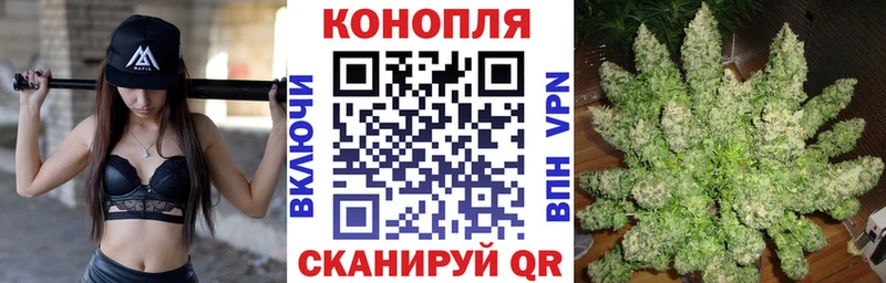 Бошки Шишки VHQ  сколько стоит  Елизово 